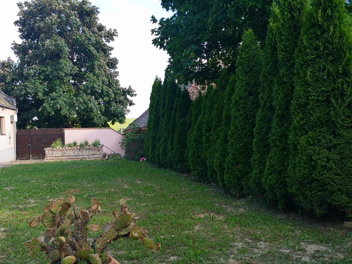 Kalemegdan Villa Cortanovci Exterior photo